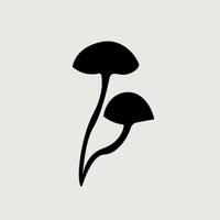 Auri Nutrition logo