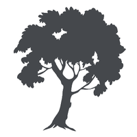 Kate quinn shop logo