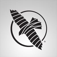 Hayabusa Fight logo