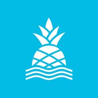 Chubbies logo