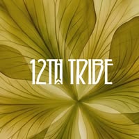 12th Tribe logo