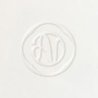 Agent Nateur logo