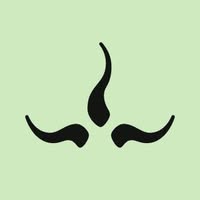 prAna logo