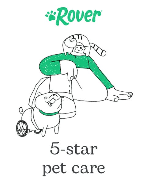 This ad for Rover features a simple line drawing of a person sitting with a cat on their head and a dog in a wheelchair 
