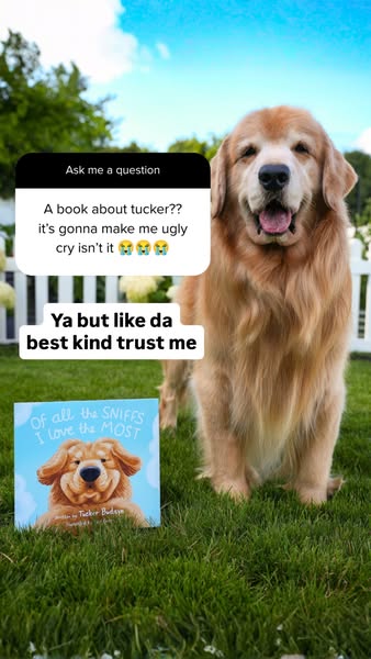 Tucker Budzyn ad