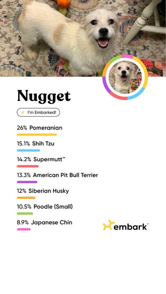 The image is an ad for Embark dog DNA tests. It shows a dog named Nugget with a breakdown of the various breeds that mak