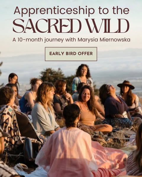 School of the Sacred Wild : Regenerative Healing for Earth & People ad