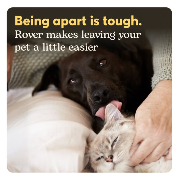 This ad for Rover addresses the difficulty of leaving a pet, and offers the Rover service as a solution for making it ea