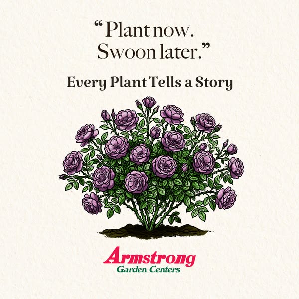 Armstrong Garden Centers ad