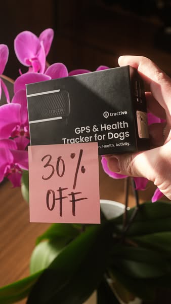This ad is for Tractive, a GPS and health tracker for dogs. The ad features the product box next to a pink flower, with 