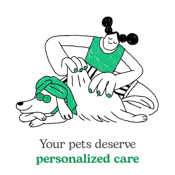 This ad uses a cartoon illustration to promote personalized pet care.