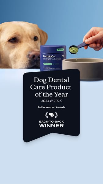 This image ad presents PetLab Co.'s ProBright Advanced as an award-winning dog dental care product, with a visual de