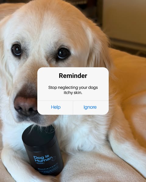 Dog is Human ad