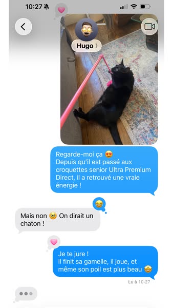 The ad uses a conversation screenshot between two people discussing the benefits of Ultra Premium Direct senior cat food