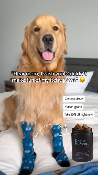 Dog is Human ad