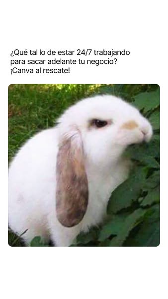 Canva ad