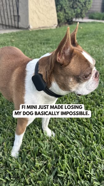 Fi ad