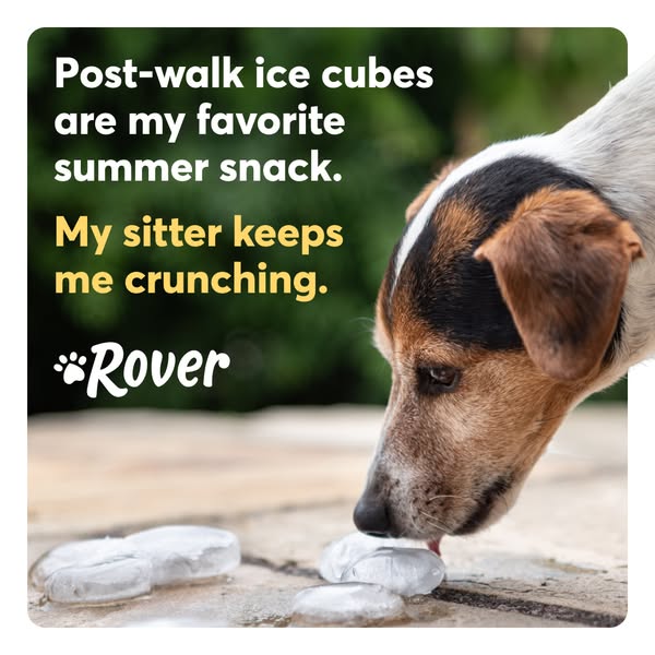 This ad shows a photo of a dog enjoying ice cubes after a walk. The dog's enjoyment is presented as a testimonial, p
