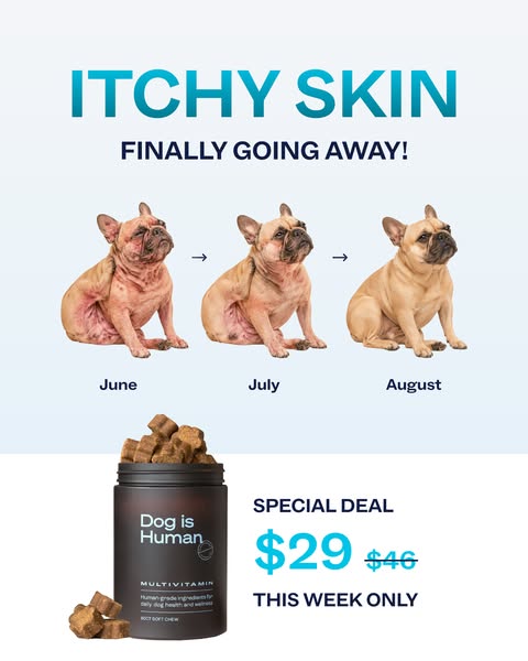Dog is Human ad