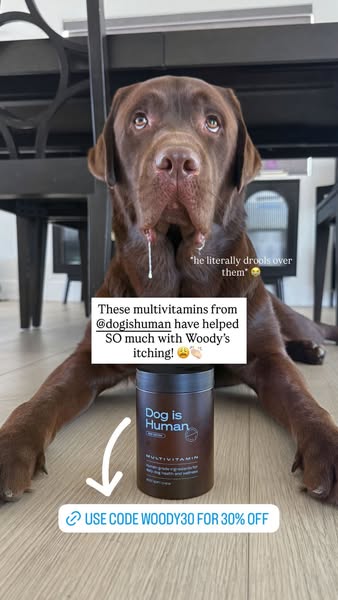 The Lab Woody ad