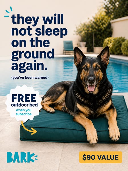 BarkBox ad