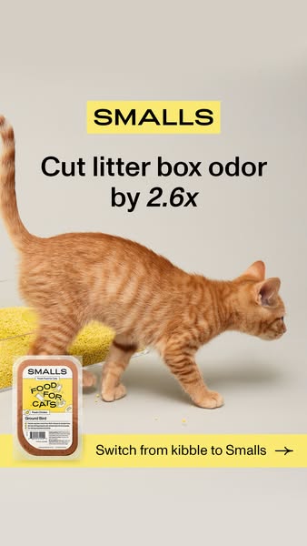 Image ad for Smalls cat food. An orange tabby cat walks to the right across a yellow shag rug. In the lower left corner 