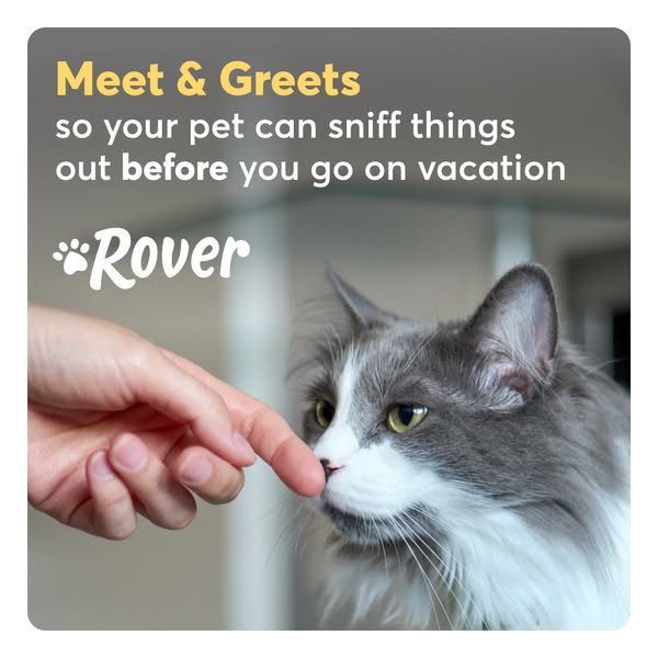 This ad focuses on pet care by introducing the concept of a 'meet and greet' before hiring a pet sitter, ensurin