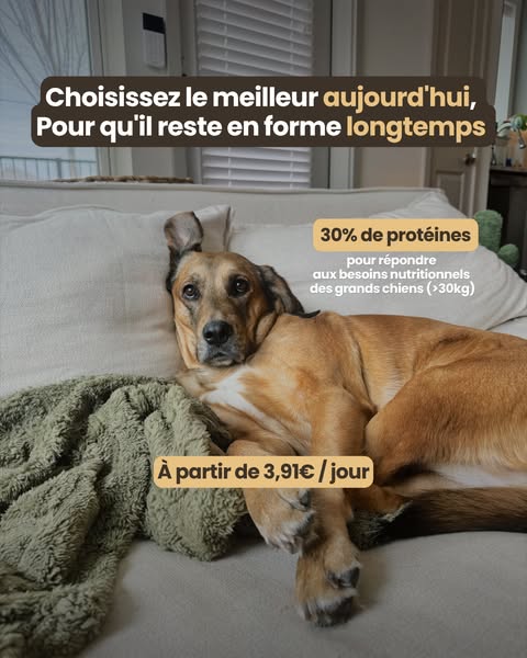 Femme Actuelle ad