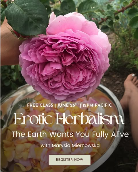 School of the Sacred Wild : Regenerative Healing for Earth & People ad