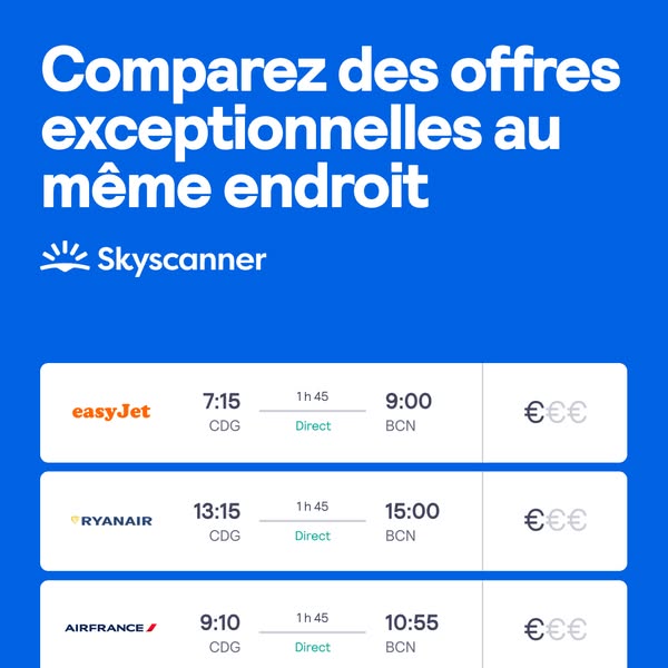 The image ad showcases Skyscanner, an online platform for comparing travel options. It presents a table of potential fli