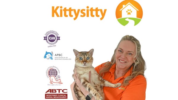Kittysitty Cat Behaviorist ad
