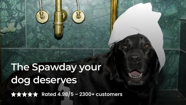 Elvis Batz ad