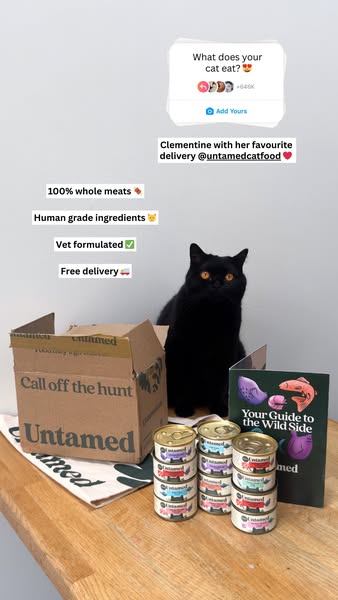 Clementine Meows ad