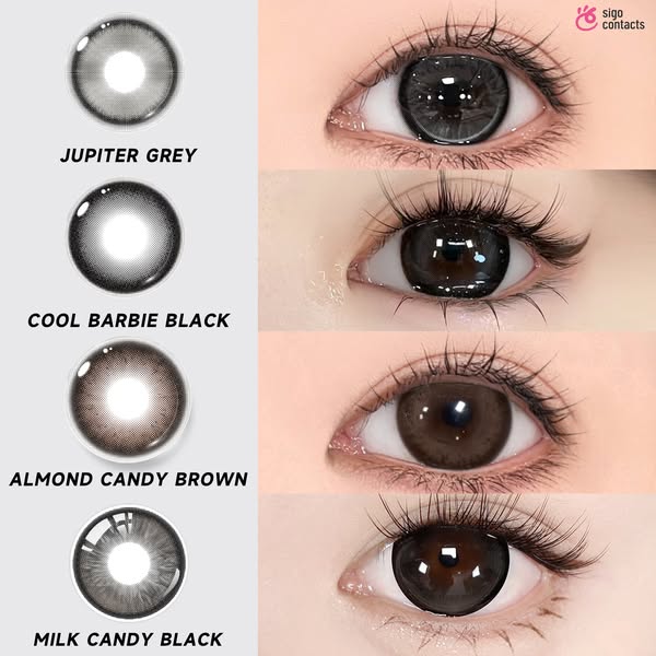 sigocontacts_official ad
