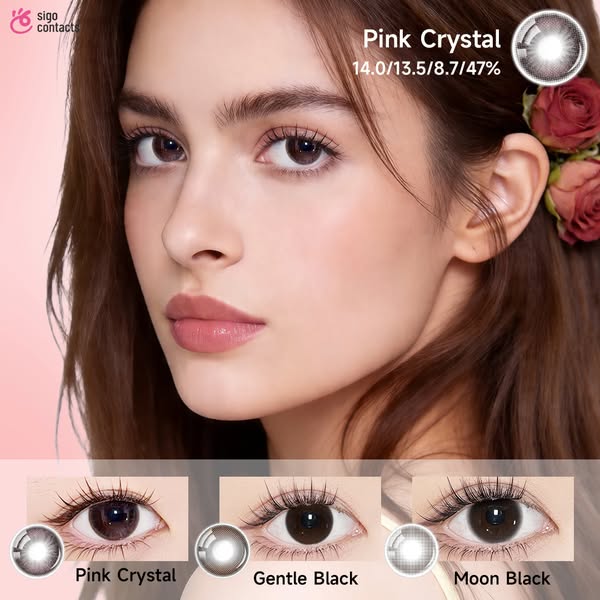 sigocontacts_official ad