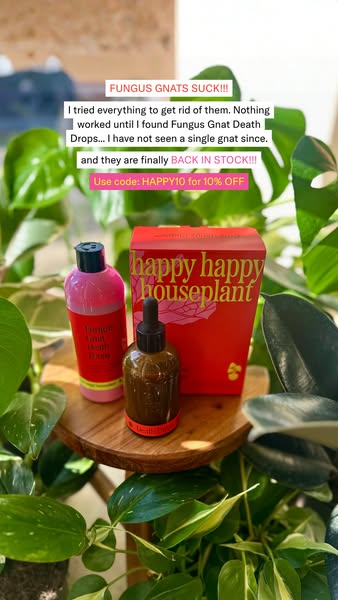 Happy Happy Houseplant ad