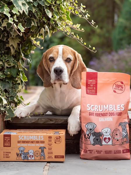 basil_the_beagle.uk ad
