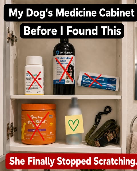PupLabs ad