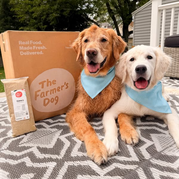 themgoldenboys ad