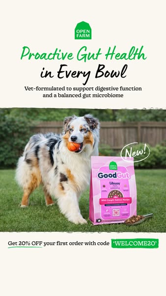This ad for Open Farm's Good Gut dog food features a healthy dog with a toy next to a bag of the food, advertising i