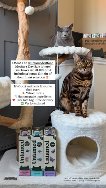 Jade Isaac ad