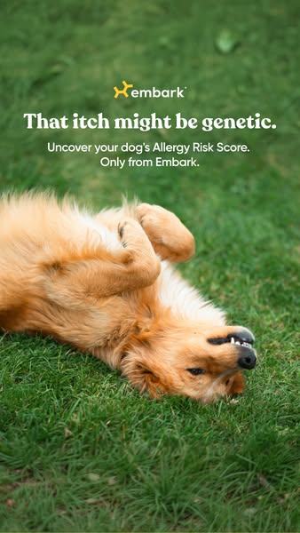 This ad promotes Embark's dog allergy risk score service. The ad shows a dog rolling on its back in the grass. The h