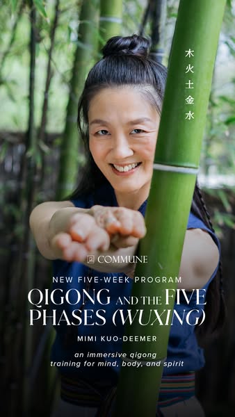 Mimi Kuo-Deemer: Meditation, Qigong and Internal Martial Arts ad