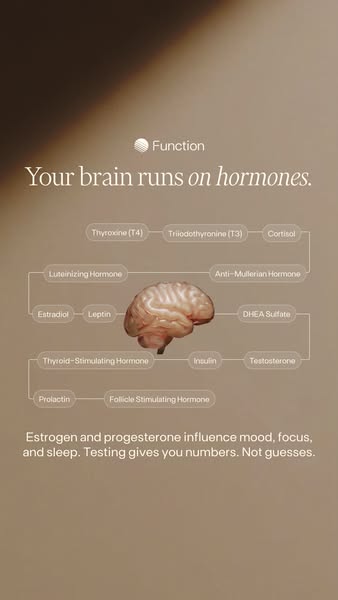 The image is an advertisement that explains the connection between the brain and hormones, emphasizing the importance of
