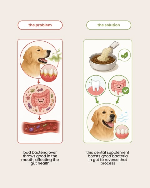 Nourish Pet Co. ad