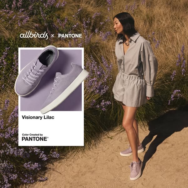 An ad for Allbirds shoes, in collaboration with Pantone, featuring a woman standing in a field and wearing the shoe.
