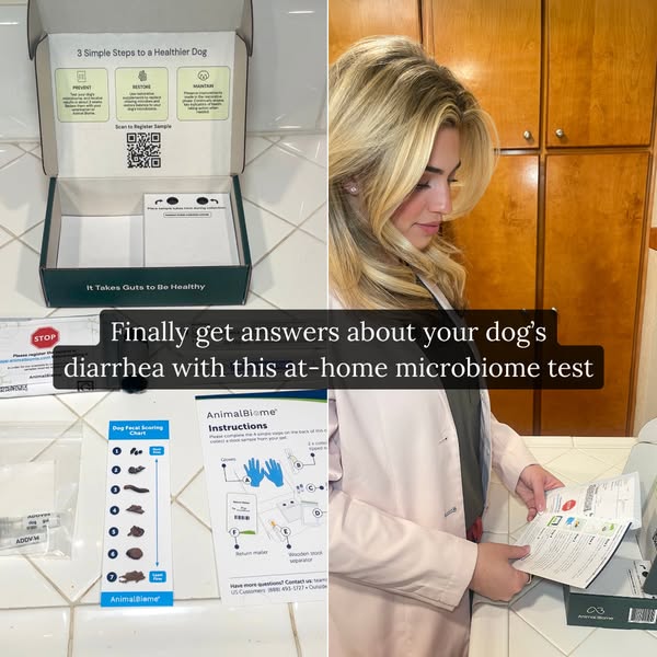 Dogtor Tay ad