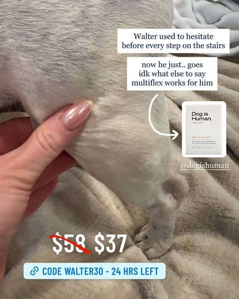Walter Geoffrey ad