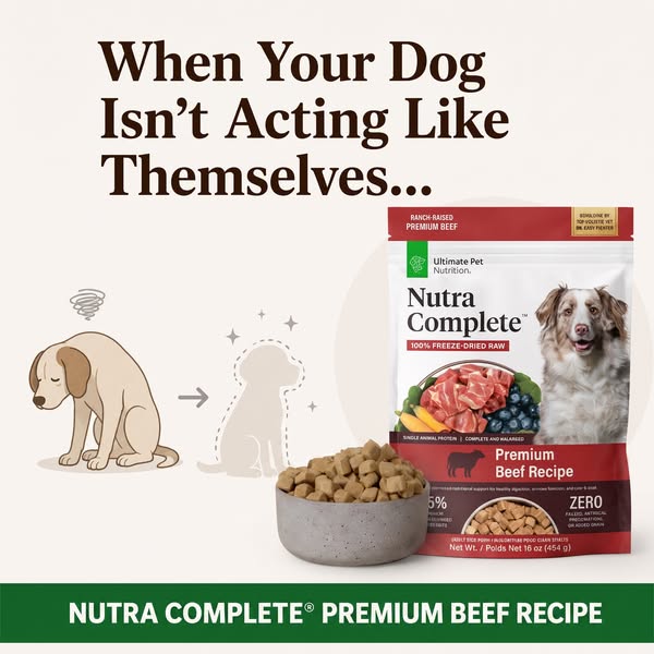 Rob Lowe ad