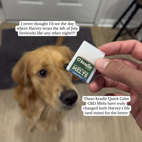 Josh Hublitz ad